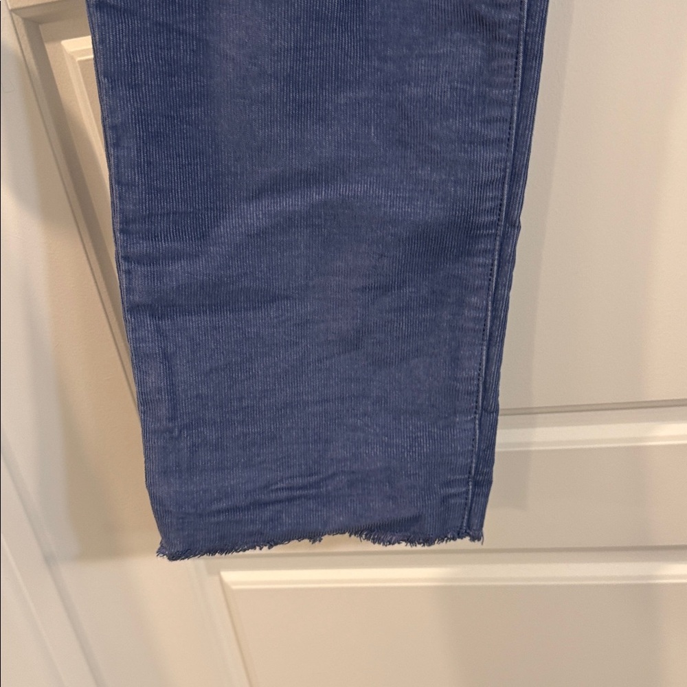 Carve Carson periwinkle Cords 8 - Picture 2 of 5